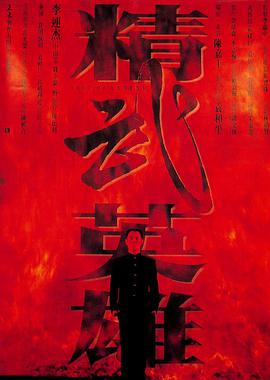 精武英雄1994HD中字