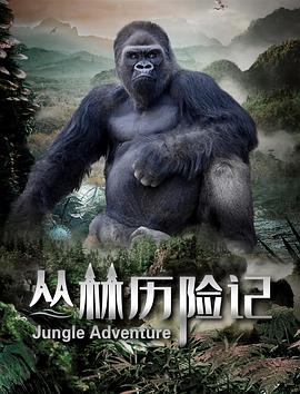 丛林历险记2020HD中字