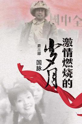 激情燃烧的岁月3第21集