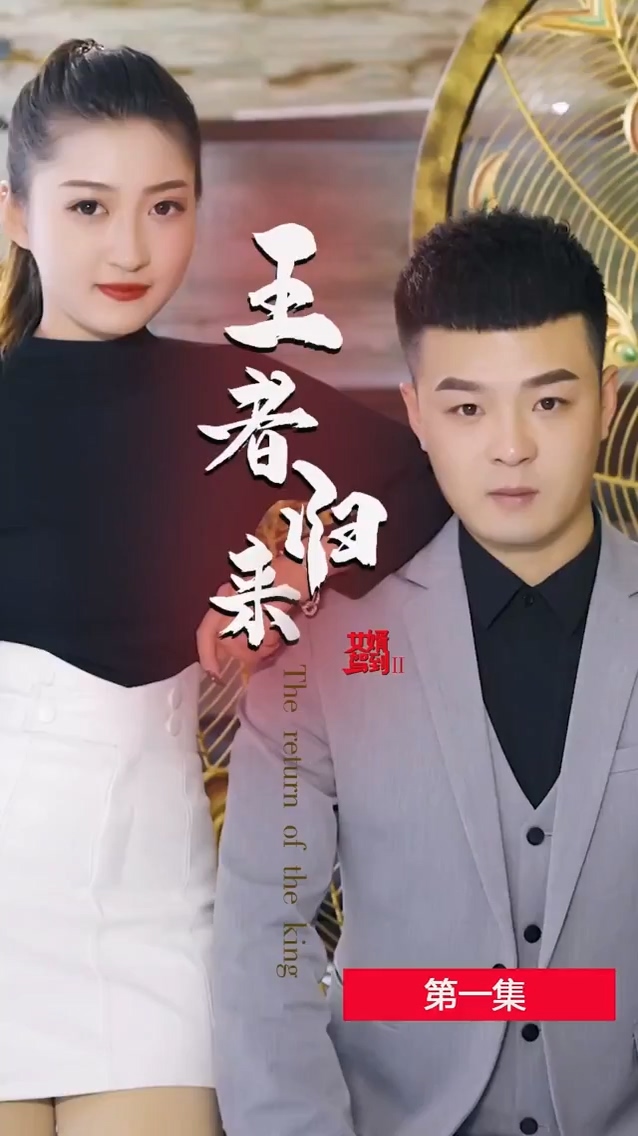 女婿驾到2王者归来第38集