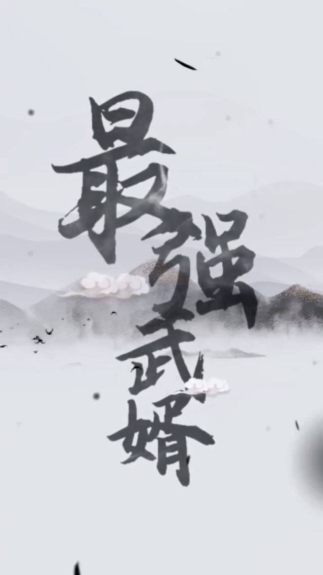 最强武婿第21集