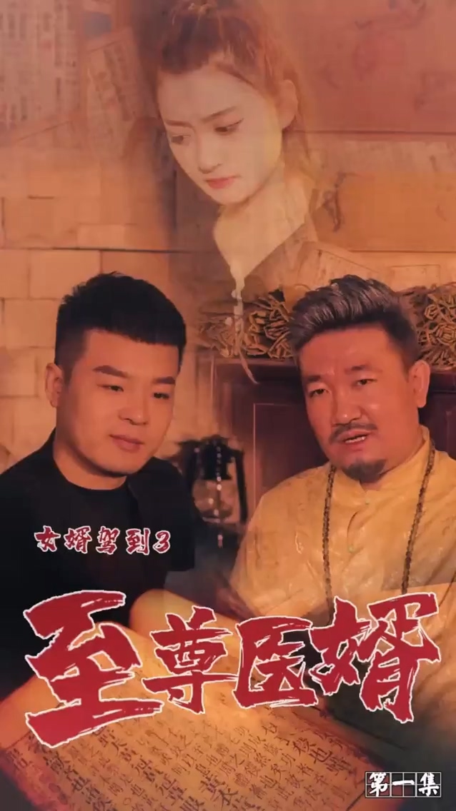 女婿驾到3第39集