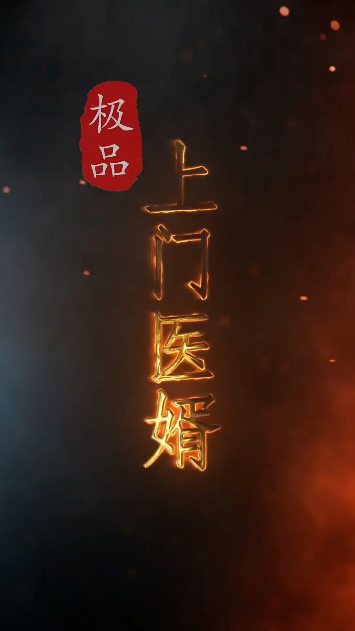 极品上门医婿第39集