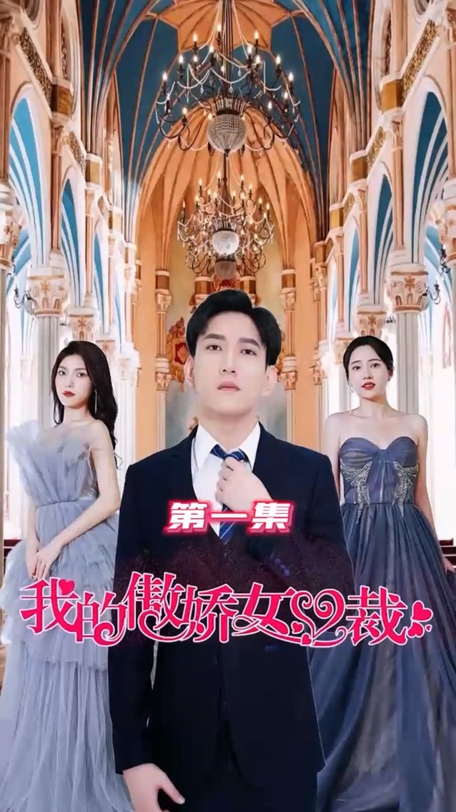 我的傲娇女总裁第54集