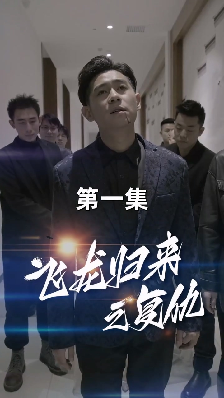 飞龙归来第73集