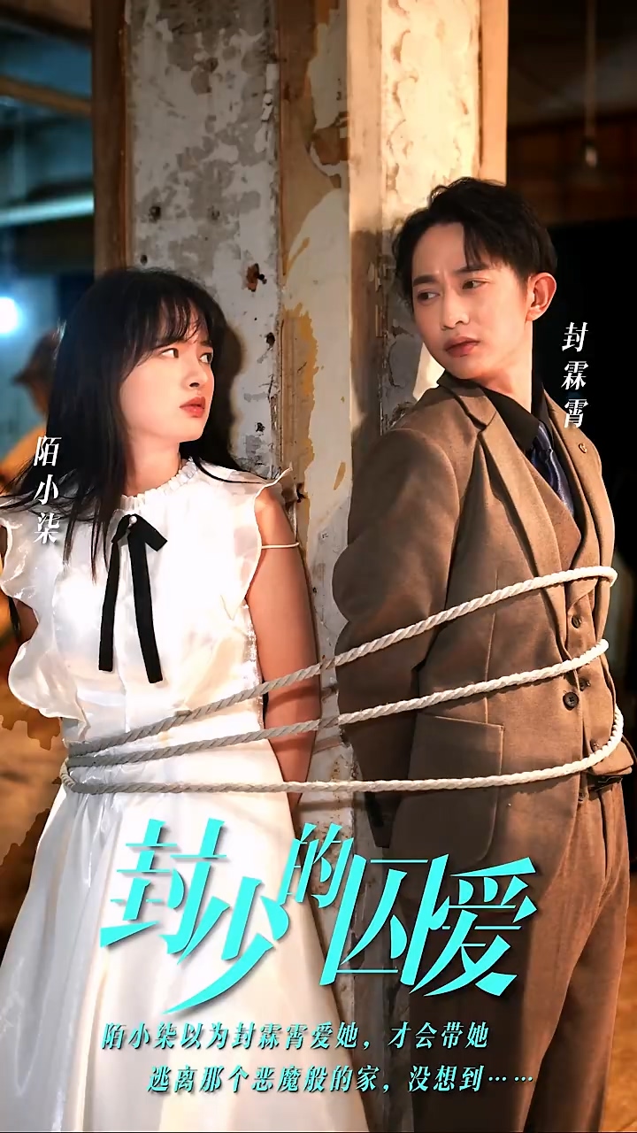 封少的囚爱第12集