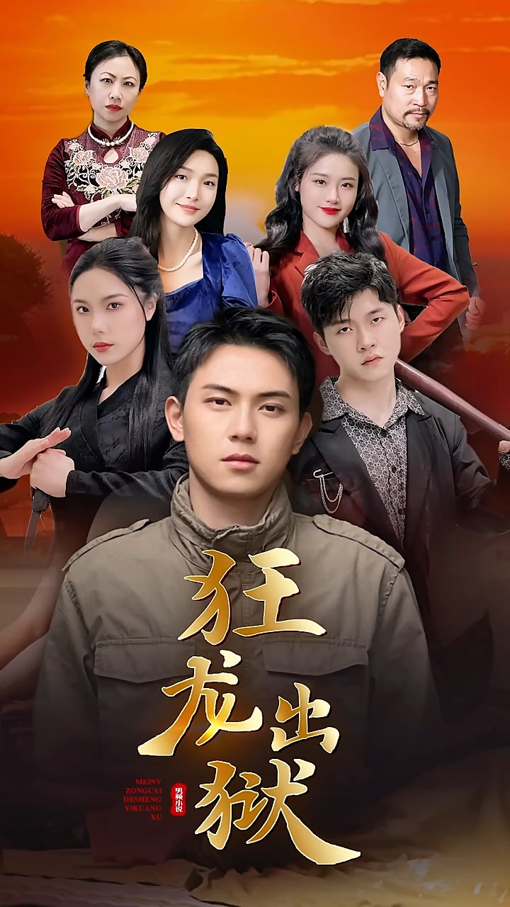 狂龙出狱第12集