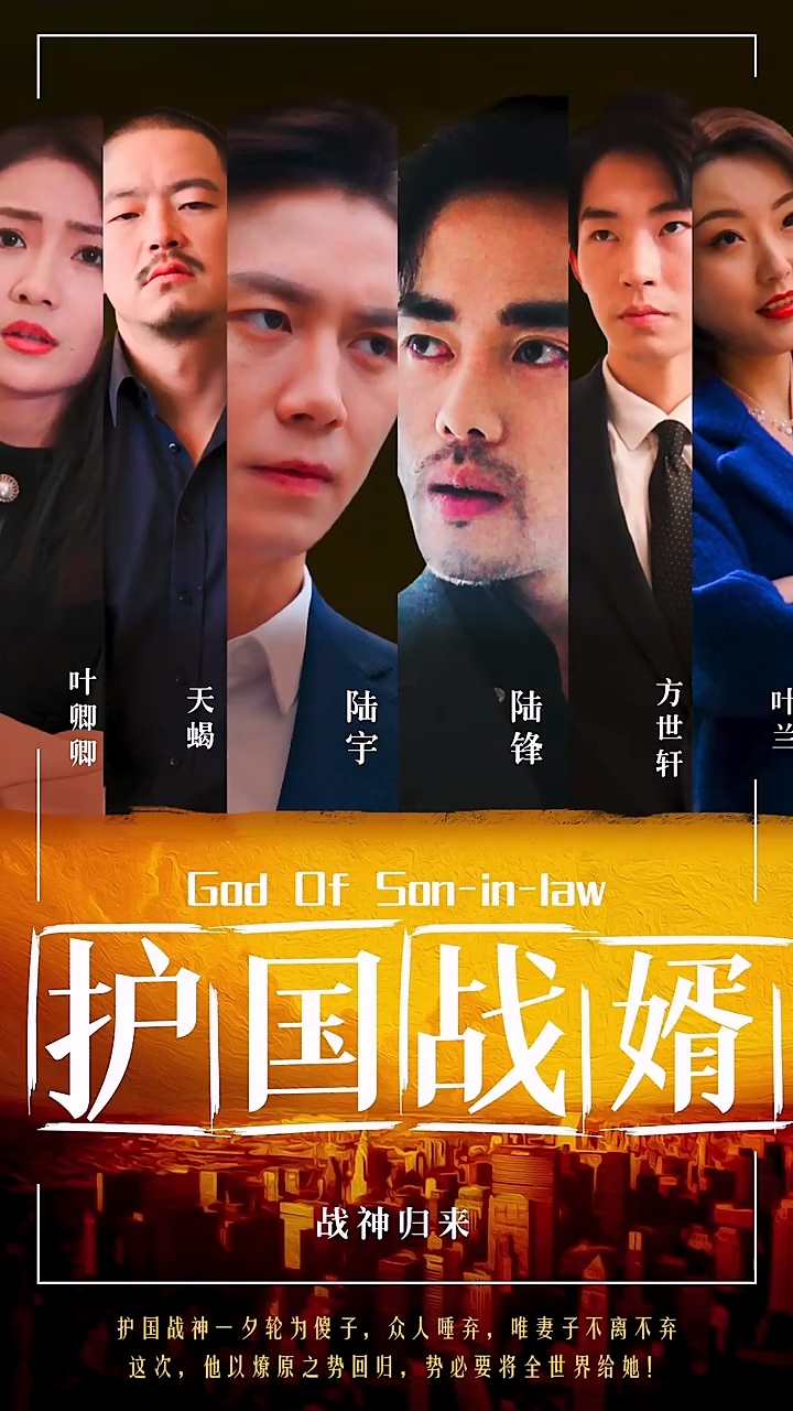 护国战婿第22集