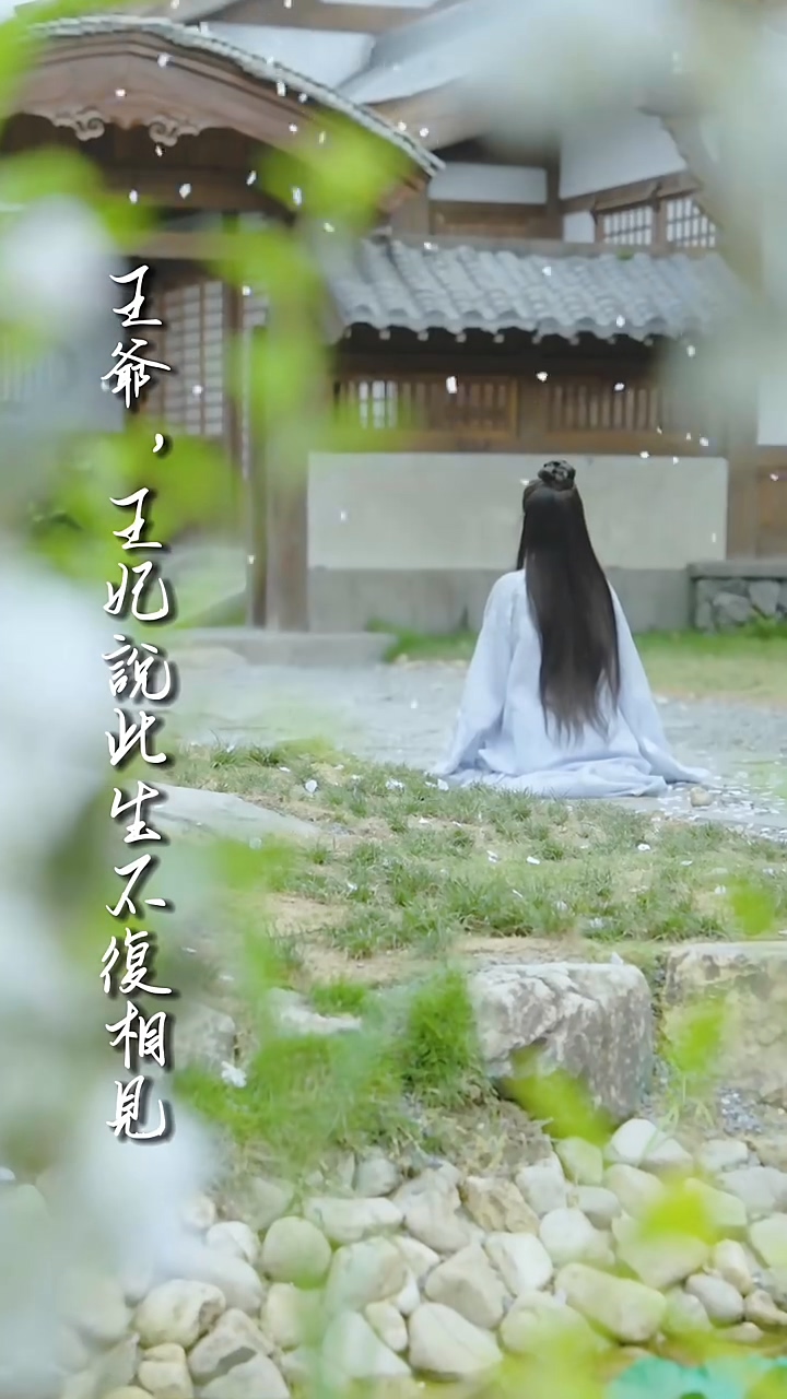 王爷，王妃说此生不复相见第37集