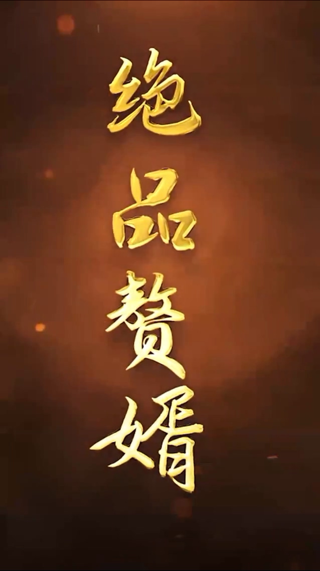 绝品赘婿第72集