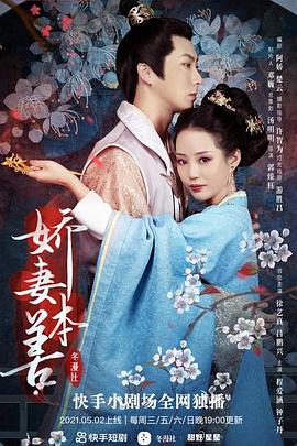 娇妻本善第17集