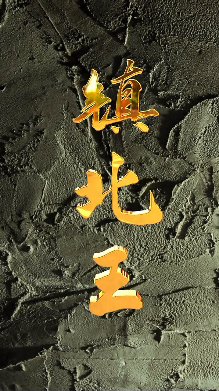 镇北王第21集