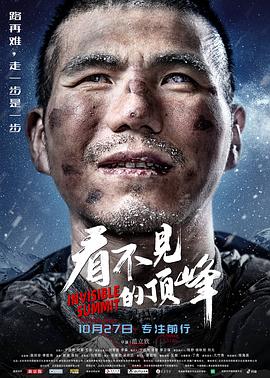 看不见的顶峰HD中字