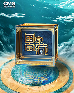 国家宝藏第四季202406302