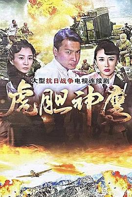 虎胆神鹰第39集