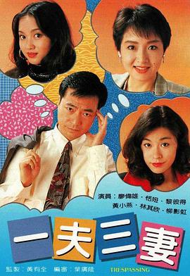 一夫三妻国语第07集
