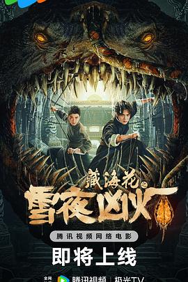 藏海花之雪夜凶灯 HD中字