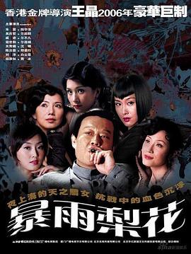 暴雨梨花第39集