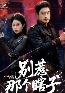 别惹那个瞎子(全集)