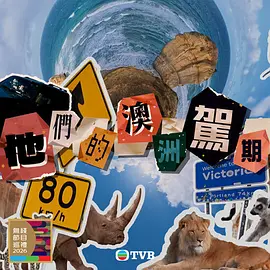 他们的澳洲驾期