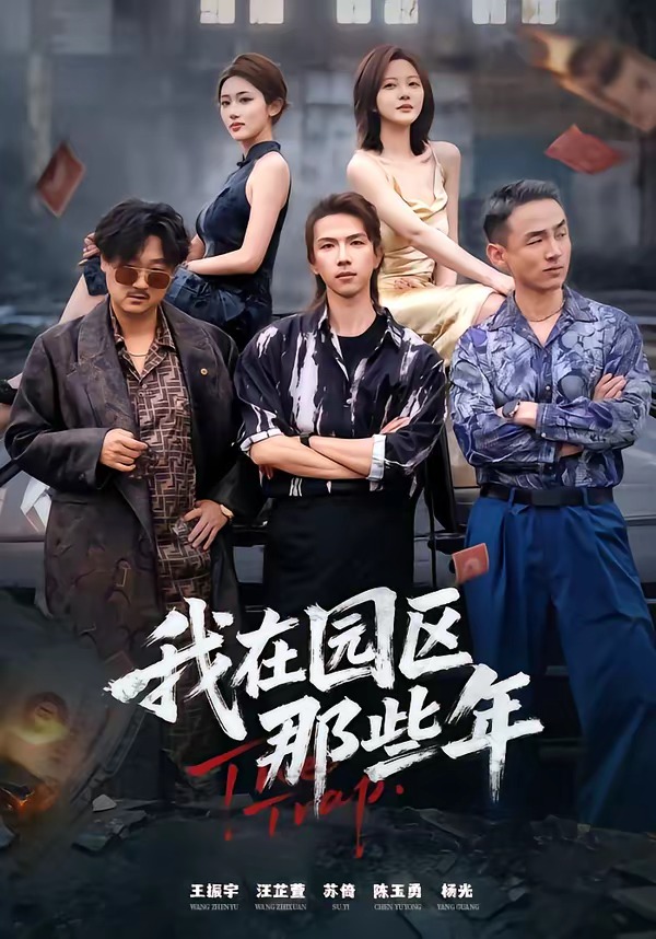 我在园区那些年(全集)